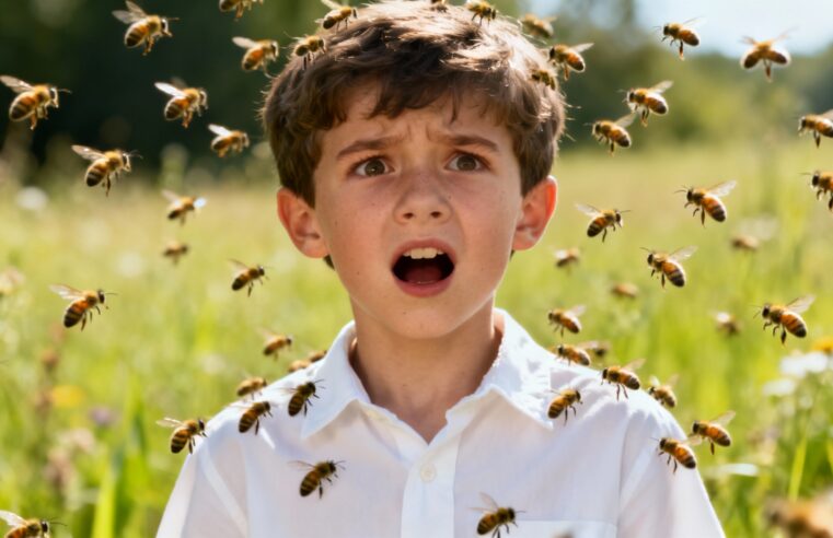 Menino atacado por abelhas tem quadro grave, diz mãe