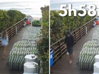 morte cao orelha video