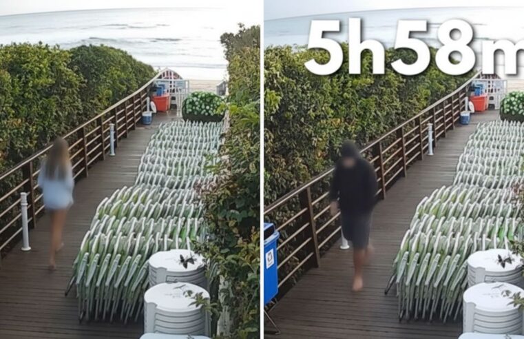 Morte do cão Orelha: vídeo contradiz depoimento